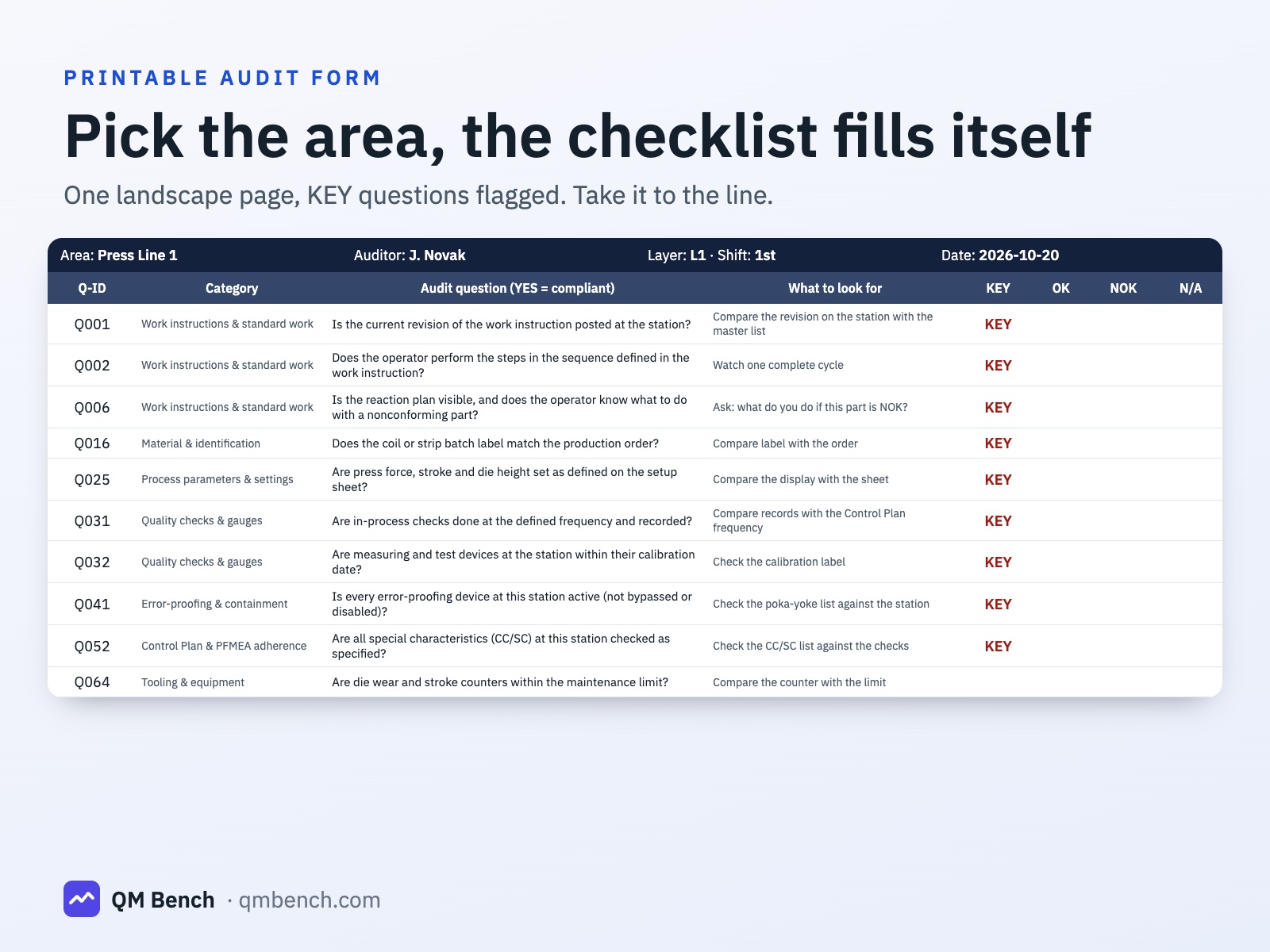 Printable audit form